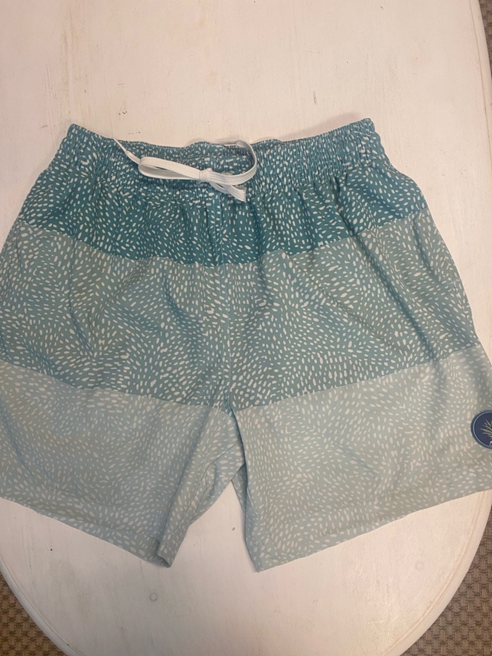 chubbies teal patterned swim trunks
